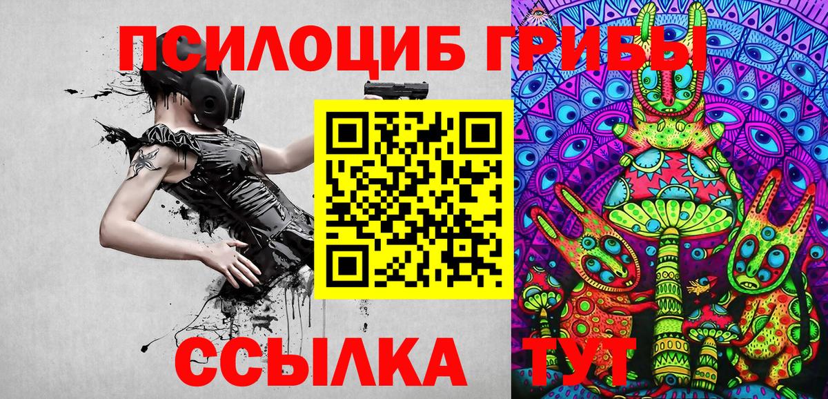 Туймазы  даркнет сайт  Вход с VPN  Псилоцибиновые грибы Psilocybine cubensis 