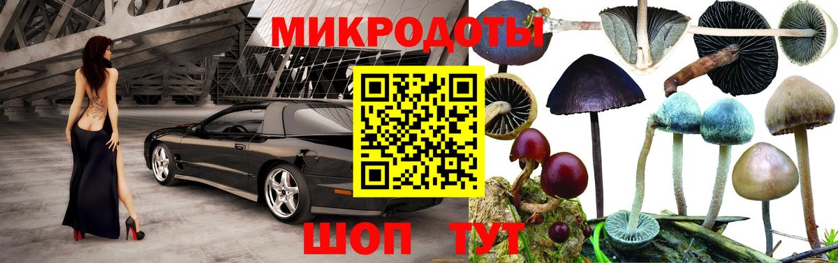 Галлюциногенные грибы GOLDEN TEACHER Туймазы